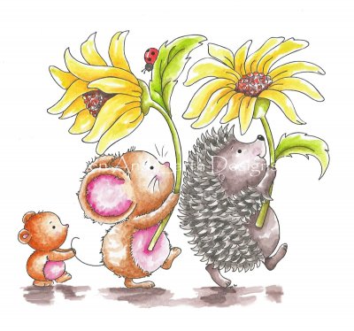 Daisy Trail - Diane Carubia