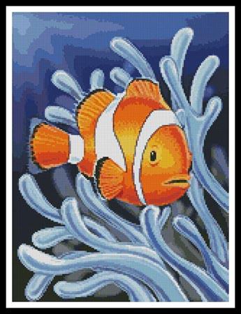 Clownfish 2
