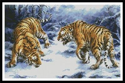 Confrontation 