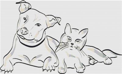 Dog and Cat