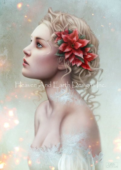 Poinsettia / No Background - Cris Ortega
