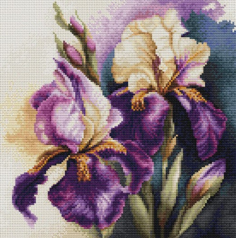 Iris Burgermeister