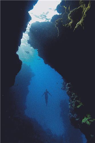 Vibrant Waters of Neom