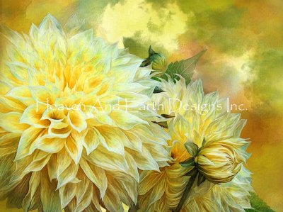 Yellow Dahlias/Mini - Carol Cavalaris