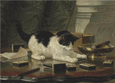 Kitten Playing