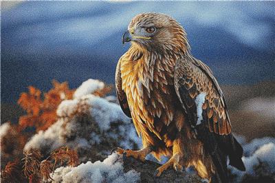 Golden Eagle