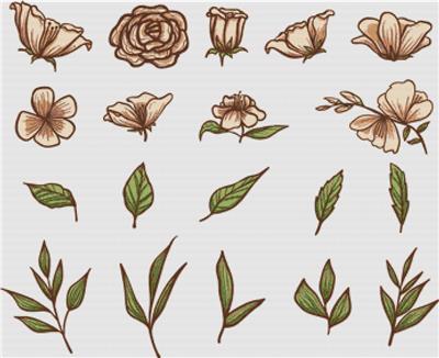 Set of Botanical Flowers and Leaves