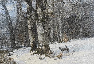 Winter