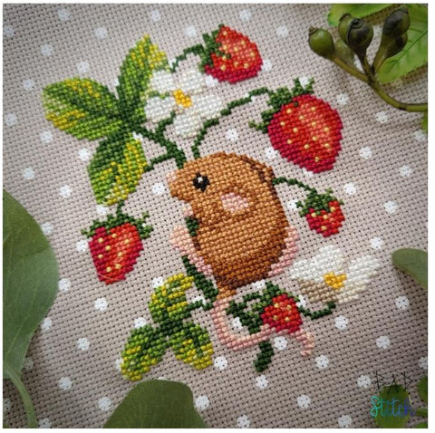 Strawberry Season