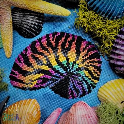Rainbow Nautilus