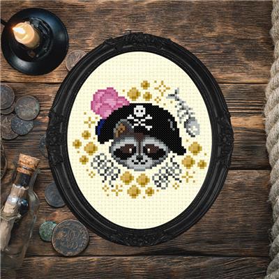 Pirate Racoon Dress Up