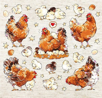 Pied Hens