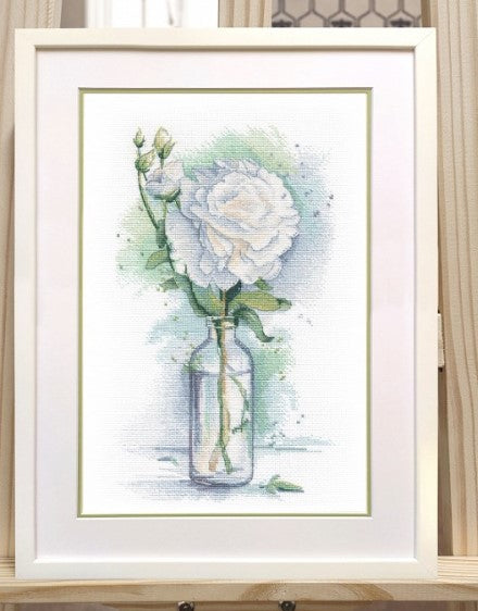 Gentle Peony