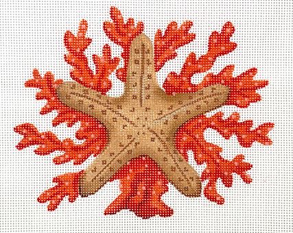 Starfish w/Coral 