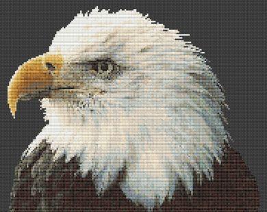 Majestic Bald Eagle