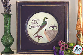 Violet Green Swallow