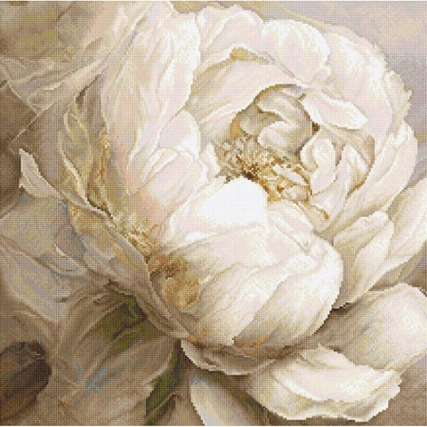 Peony Poses