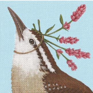 Edie - Carolina Wren