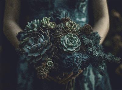 Woman Holding a Bouquet of Succulents