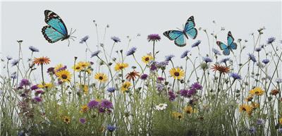 Blue Butterflies and Flowers