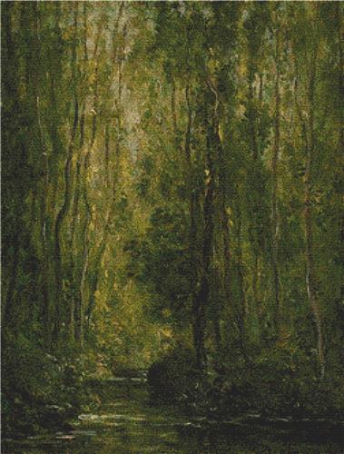 Woodland Scene