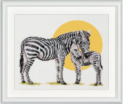 Safari Zebra