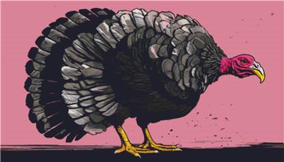 Pink Turkey