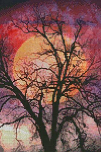 Moon in the Branches