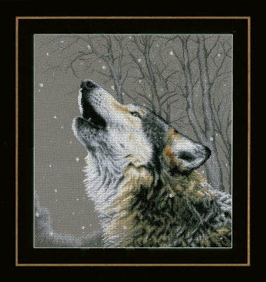 Howling at the Stars