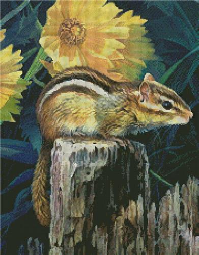 Out for a Peek (Crop)