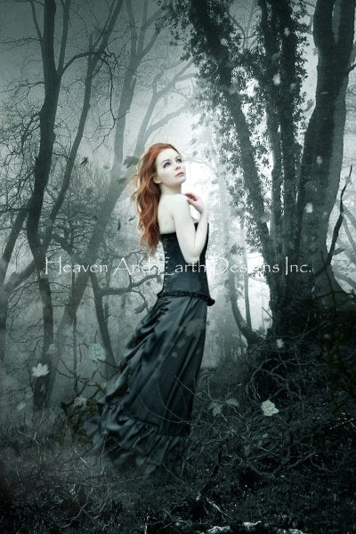 Dark Path - Alexandra V Bach
