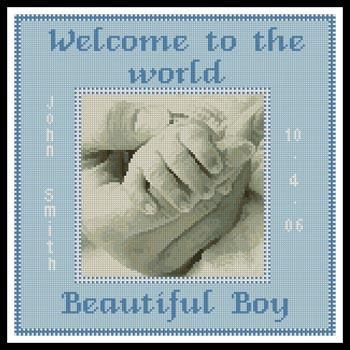 Baby Boy Hand Sampler