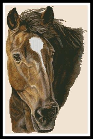 Bay Horse