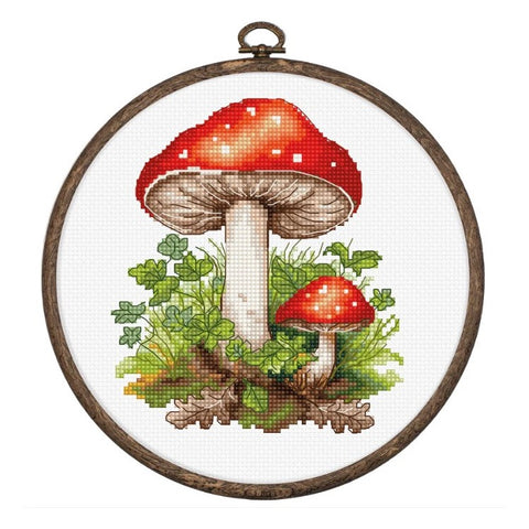 Amanita Muscaria