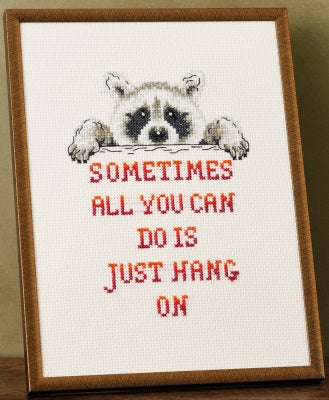 Racoon