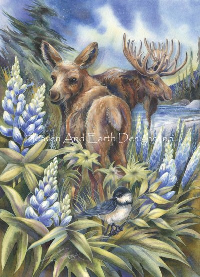 Easily A Mossed - Jody Bergsma