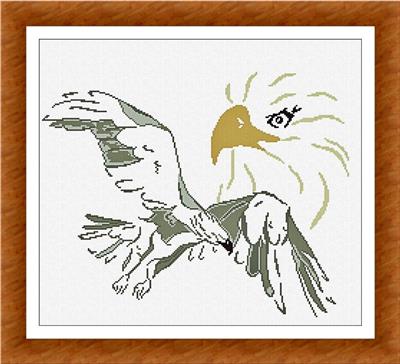Eagle Portrait