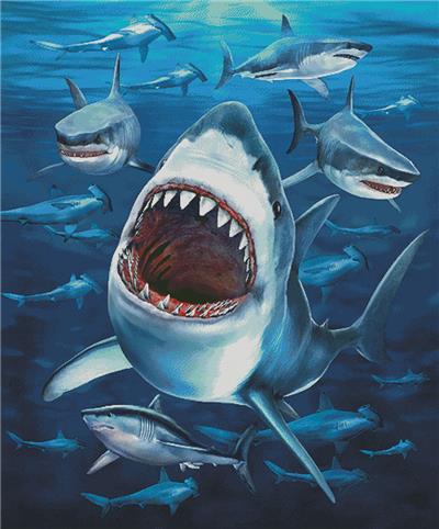 Shark Frenzy (Large)