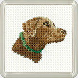 Chocolate Labrador Coaster