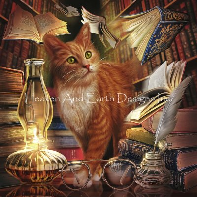 Library Cat - Ciro Marchetti