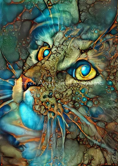 Galaxy Cat/Mini - Lea Roche