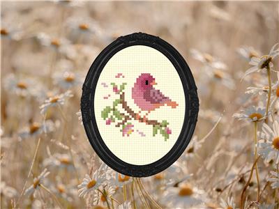 Rose Finch