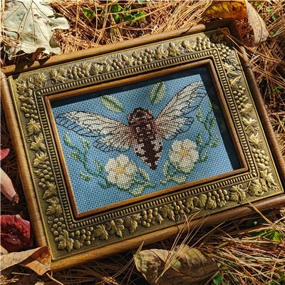 White Blossom Cicada