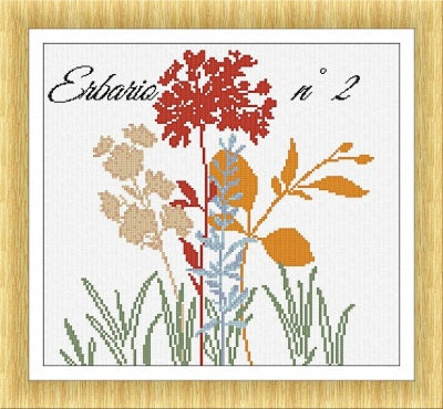 Erbario 2