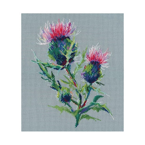 Thistle