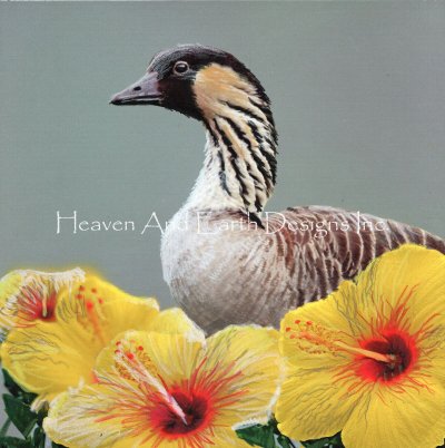 Hawaii - Dean Darling