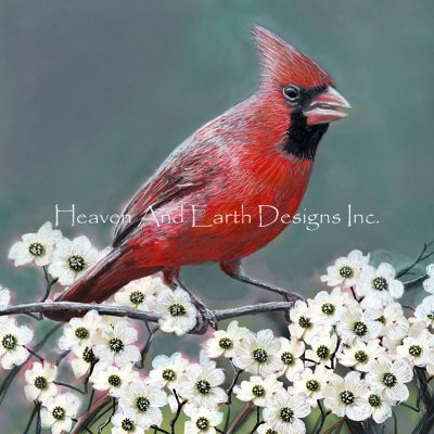North Carolina - Dean Darling