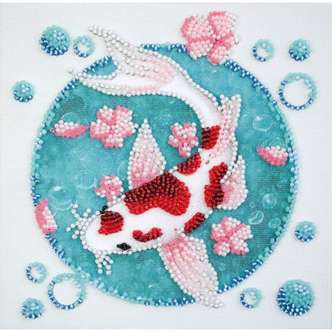 Koi Carp