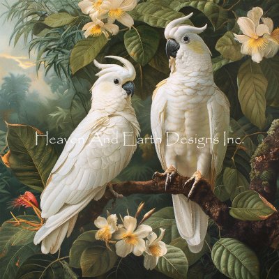 Cockatoo Haven - Steve Hunziker