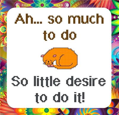 So Much to Do